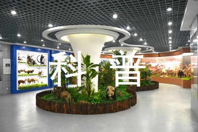 国际航空运动赛 近距离观赏滑翔伞的魅力